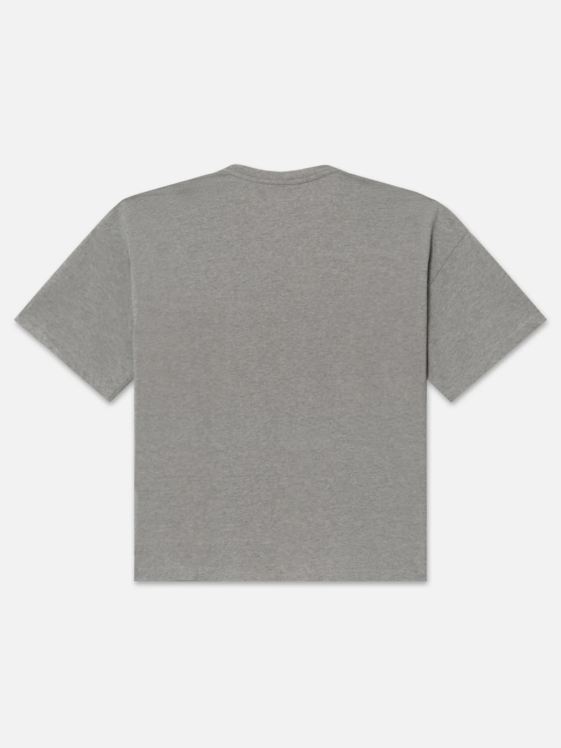 FRAME Ritz Men's Cropped Relaxed T Shirt in Heather Grey